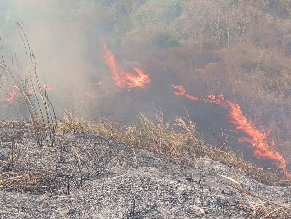 En estos momentos, en el Municipio Libertador, Parroquia Coche, Bajada de Tazón, Km-07, en las adyacencias del Frigorífico de Tazón, por la zona de Ciudad Tiuna se registra un Incendio en Vegetación desde ayer Lunes en horas de la madrugada. El fuego continúa desplazándose, y para combatirlo, los efectivos del Cuerpo de Bomberos Urbanos, Forestales y otros organismos del Estado, como Protección Civil y la Fuerza Armada Nacional Bolivariana (FANB), están trabajando arduamente en las labores de extinción.
Nuestro Primer General (B) Juan Carlos González, Director General Nacional de Bomberos se encuentra supervisando las operaciones, asegurando que se tomen todas las medidas necesarias para proteger a nuestra comunidad.
Con un total de 40 efectivos del Sistema Nacional de Gestión de Riesgos y 4 unidades en el terreno, se están realizando intensas labores para controlar el incendio y minimizar riesgos a la población.
Mantendremos informada a la ciudad sobre el avance de las operaciones.
@minjusticia_ve @fonbe_oficial @dcabellor @cbforestalesven @vgrpc_mijp @minecosocialismo_ve
#Incendio #CuerpoDeBomberos #ProtecciónCivil #FANB #MunicipioLibertador SeguridadComunitaria