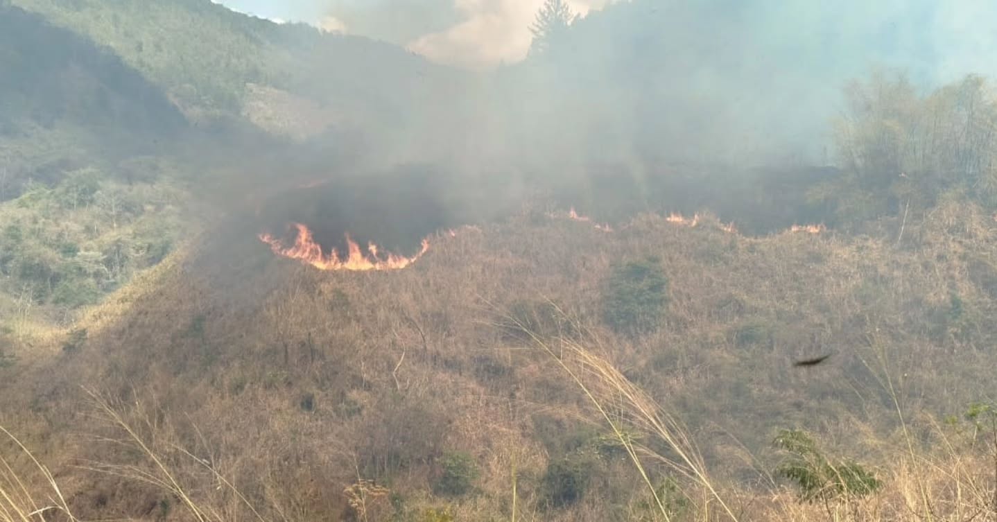 En estos momentos, en el Municipio Libertador, Parroquia Coche, Bajada de Tazón, Km-07, en las adyacencias del Frigorífico de Tazón, por la zona de Ciudad Tiuna se registra un Incendio en Vegetación desde ayer Lunes en horas de la madrugada. El fuego continúa desplazándose, y para combatirlo, los efectivos del Cuerpo de Bomberos Urbanos, Forestales y otros organismos del Estado, como Protección Civil y la Fuerza Armada Nacional Bolivariana (FANB), están trabajando arduamente en las labores de extinción.
Nuestro Primer General (B) Juan Carlos González, Director General Nacional de Bomberos se encuentra supervisando las operaciones, asegurando que se tomen todas las medidas necesarias para proteger a nuestra comunidad.
Con un total de 40 efectivos del Sistema Nacional de Gestión de Riesgos y 4 unidades en el terreno, se están realizando intensas labores para controlar el incendio y minimizar riesgos a la población.
Mantendremos informada a la ciudad sobre el avance de las operaciones.
@minjusticia_ve @fonbe_oficial @dcabellor @cbforestalesven @vgrpc_mijp @minecosocialismo_ve
#Incendio #CuerpoDeBomberos #ProtecciónCivil #FANB #MunicipioLibertador SeguridadComunitaria
